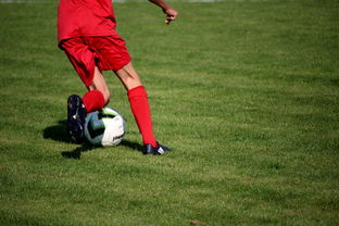 开yun官网-篮球运动员心理健康维护体系建设研究,篮球运动员心理健康维护体系建设研究论文