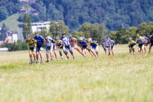 开云体育在线入口-花样滑冰全国锦标赛完美收官,全国花样滑冰锦标赛2020